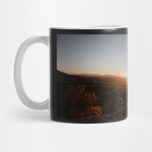 Boone in the Fall Mug